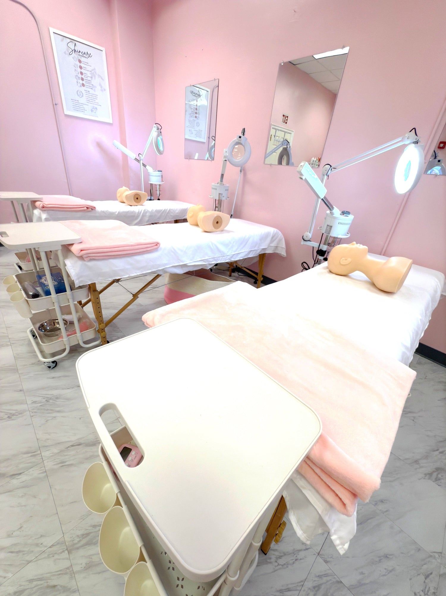 Advance Esthetics Courses